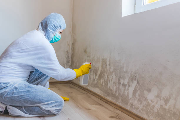 Hvac And Air Duct Mold Remediation inspection of HVAC system in Point Pleasant